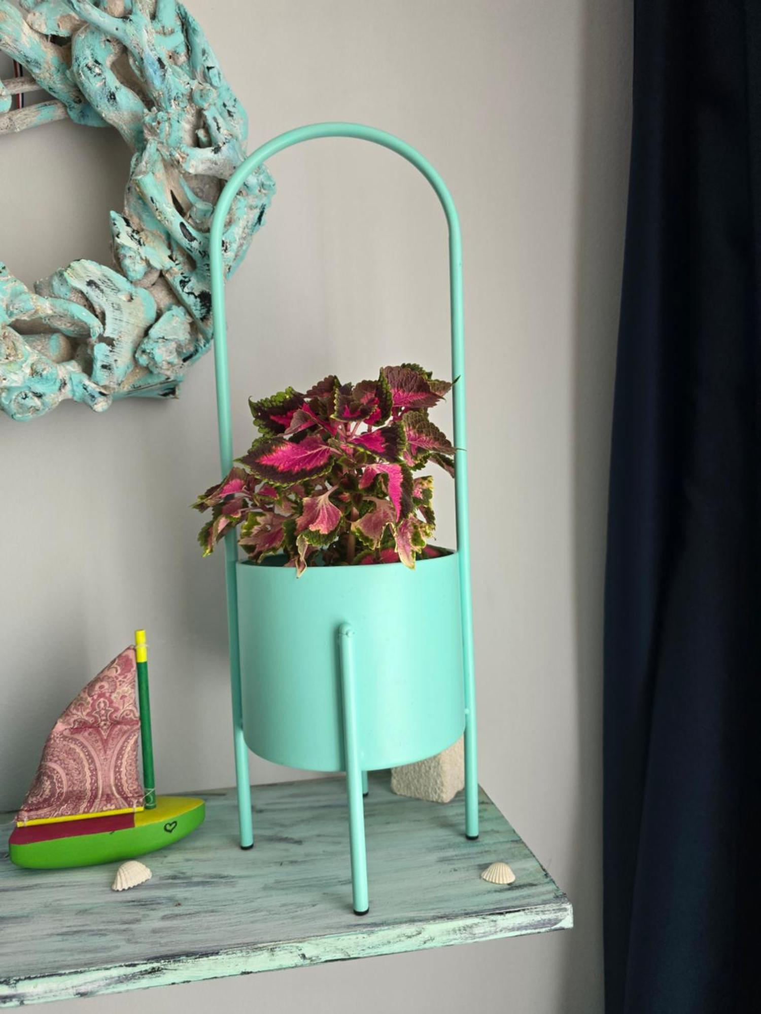 Darlea Apartman غييكا المظهر الخارجي الصورة
